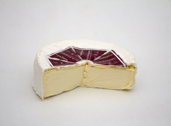 Duc de Bourgogne Duc de Bourgogne